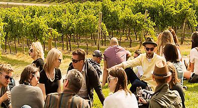 Adelaide Hills Winery and Hahndorf Small Group Tour