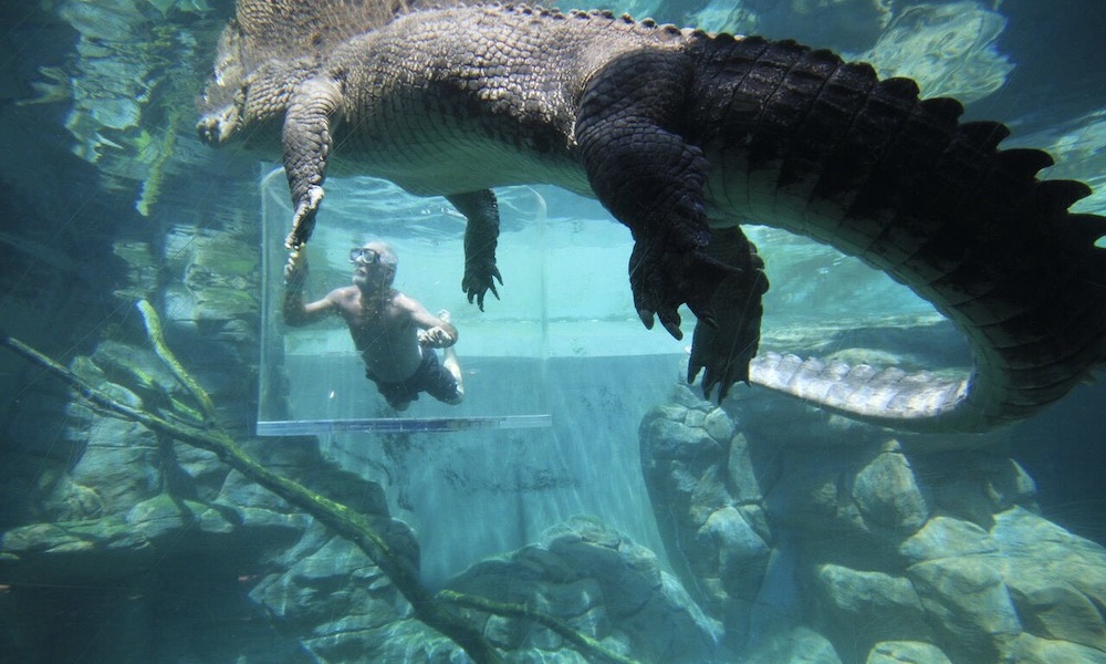 Cage of Death Solo Dive