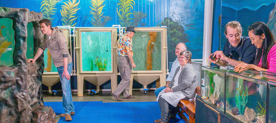 Seahorse World Guided Tour