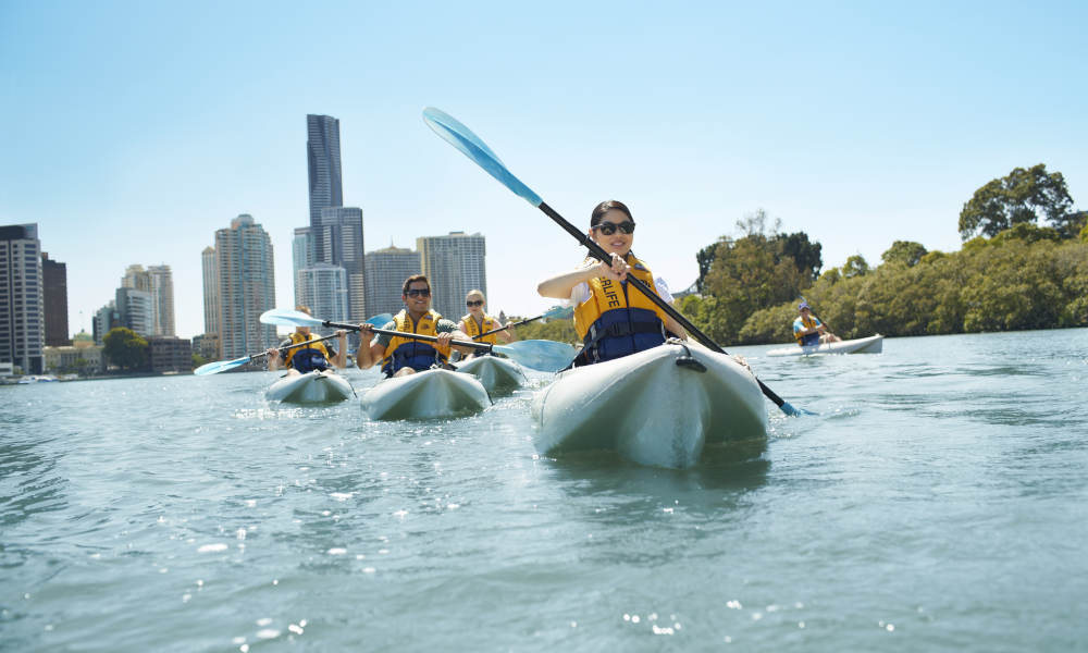 Guided Kayak Tour of Brisbane River