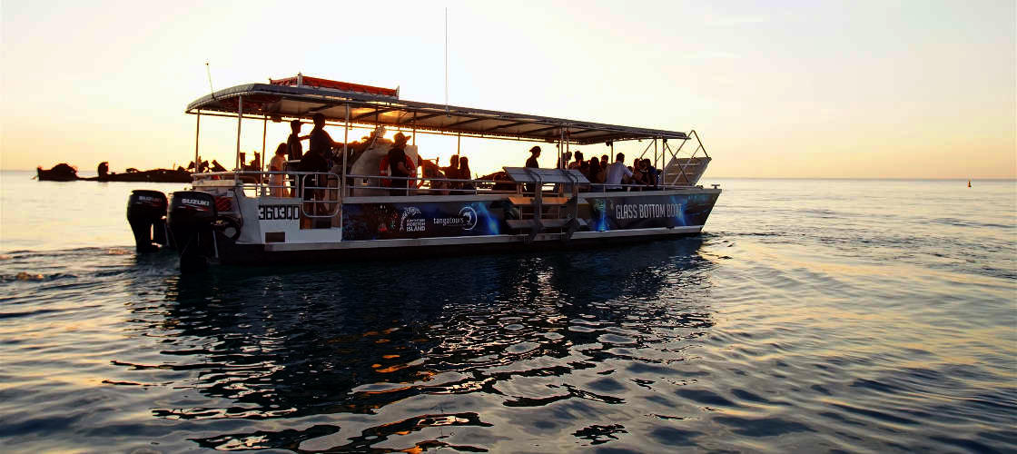 Tangalooma Wrecks Tour with Transfers from Brisbane