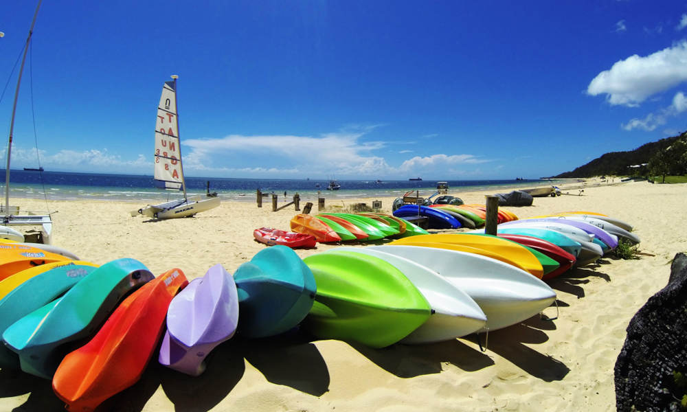 Tangalooma Wrecks Adventure Tour