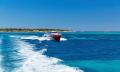 Rottnest Island Day Tour including Guided Bus Tour from Perth Thumbnail 1