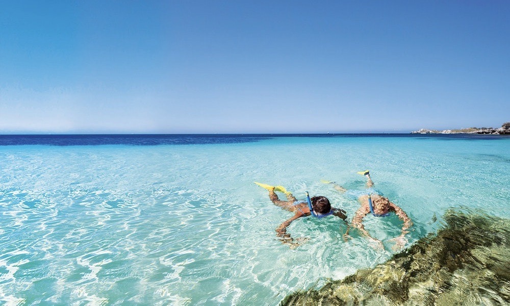 Rottnest Island Coach & Walking Tour Book Now Experience Oz