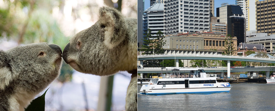 Lone Pine Koala Sanctuary & Cruise Package  Experience Oz