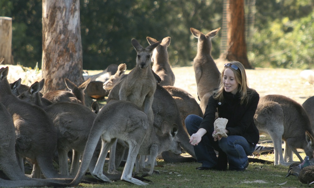 Lone Pine Koala Sanctuary with Return Scenic Cruise