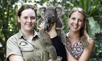 Lone Pine Koala Sanctuary with Return Scenic Cruise Thumbnail 6