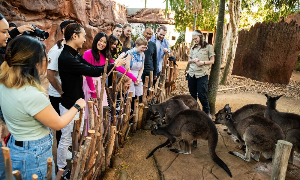 Breakfast with the Koalas at WILD LIFE Sydney Zoo