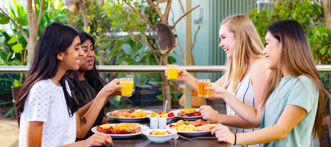 Breakfast with the Koalas at WILD LIFE Sydney Zoo