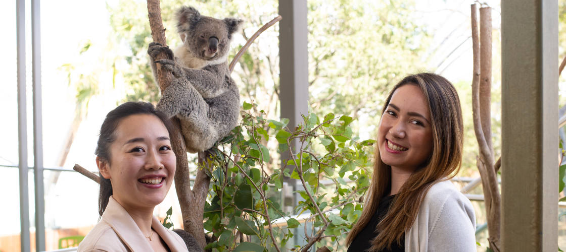 Breakfast with the Koalas at WILD LIFE Sydney Zoo
