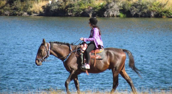 Queenstown Horse Riding - Moke Lake Trek