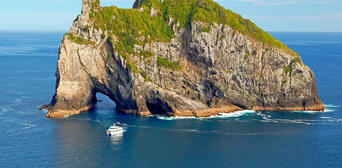 Bay of Islands Hole in the Rock Dolphin Cruise Thumbnail 1
