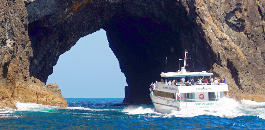 Hole in the Rock Dolphin Cruise Bay of Islands Experience Oz