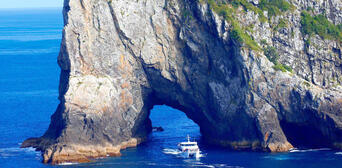 Bay of Islands Hole in the Rock Dolphin Cruise Thumbnail 4