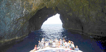 Bay of Islands Hole in the Rock Dolphin Cruise Thumbnail 6