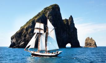 Bay of Islands Tall Ship Sailing Cruise Thumbnail 6
