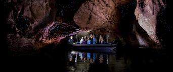 Te Anau Glowworm Caves Tour Thumbnail 3