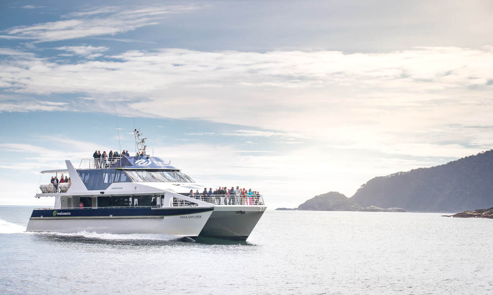 Doubtful Sound Cruise with Transfer from Queenstown  Experience Oz