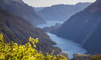 Doubtful Sound Wilderness Cruise from Queenstown Thumbnail 4