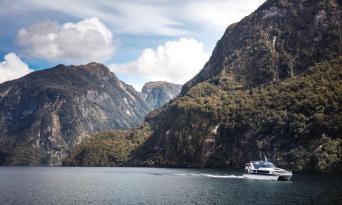Doubtful Sound Wilderness Cruise from Queenstown Thumbnail 5