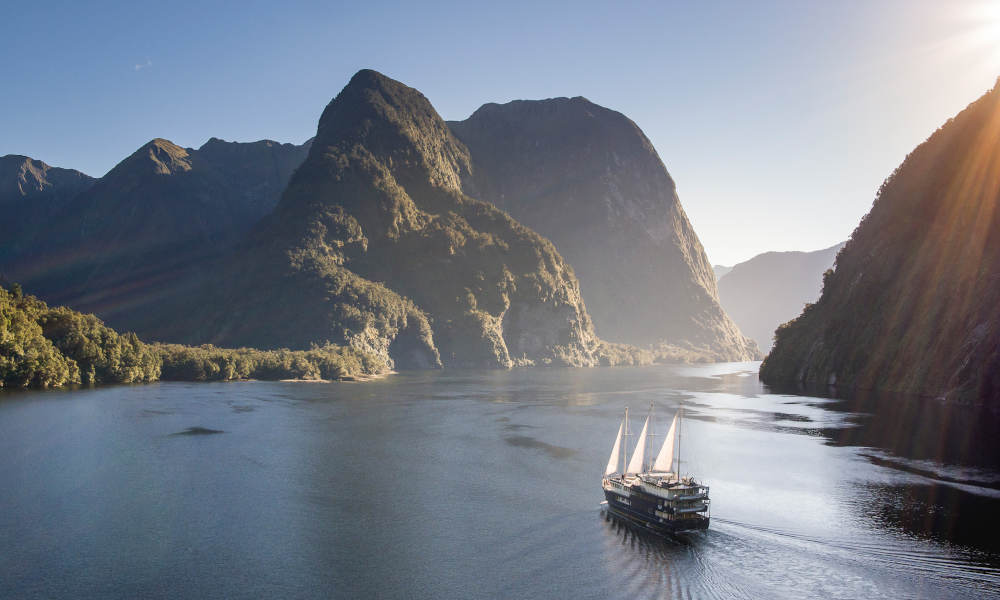 new zealand doubtful sound overnight cruise
