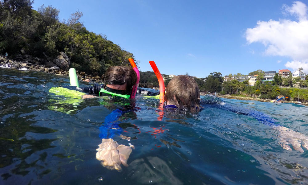 Manly Snorkel, Walk and Talk Tour Experience Oz