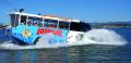 Aquaduck Gold Coast City Tour and River Cruise Thumbnail 1