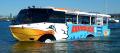 Aquaduck Gold Coast City Tour and River Cruise Thumbnail 5