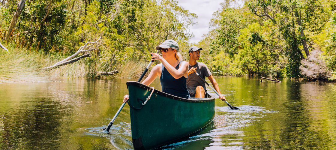 Cruise & Canoe Noosa Everglades Tour Nature and Wildlife Adventure Animals 186 Gympie Terrace Noosaville QLD 4565