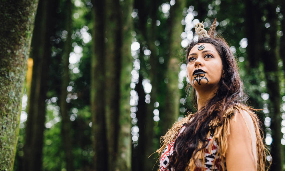 Tamaki Maori Cultural Experience with 3 Course Dinner - 6.15pm Departure (All year round)