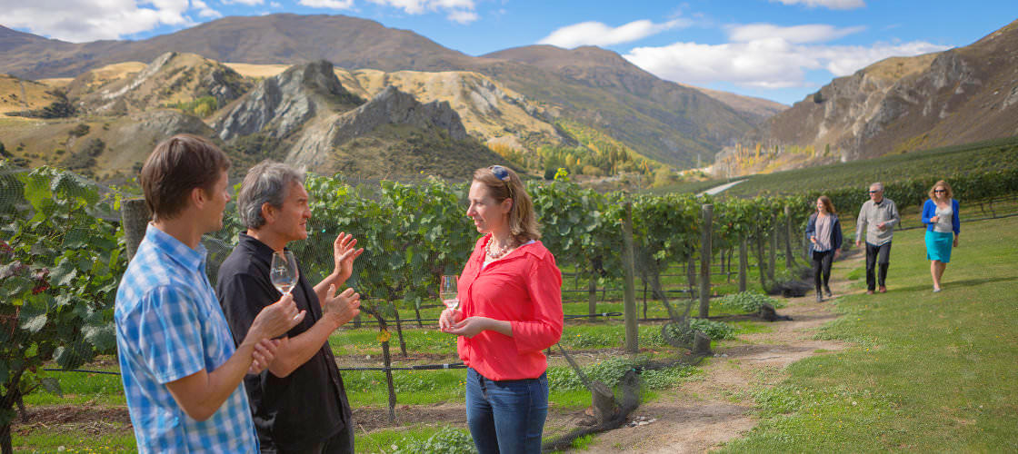 Queenstown Winery Tour Experience Oz