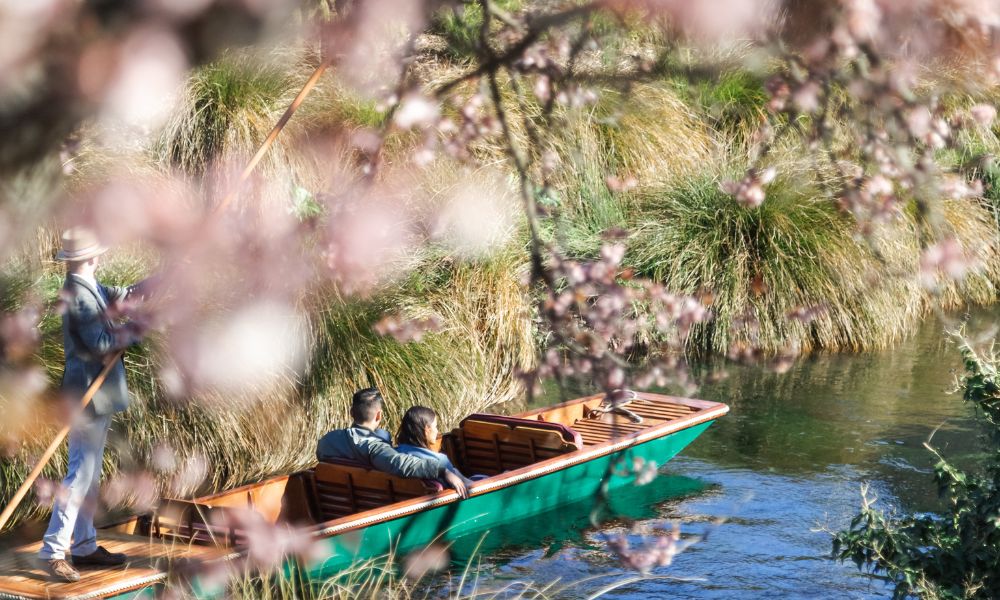 Punting on the Avon River Christchurch NZ   Book Now | Experience Oz