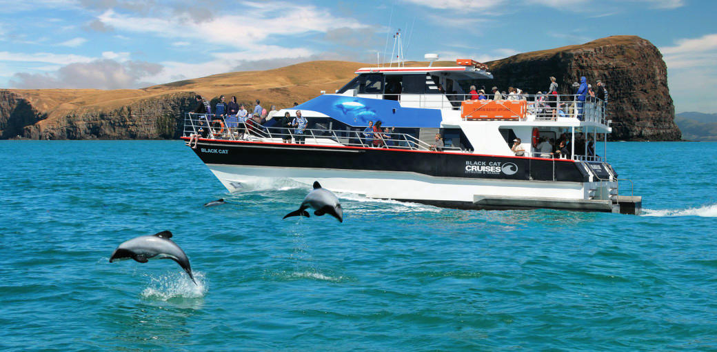 Akaroa Harbour Nature Cruise 7 Tussock Lane Christchurch NZ 8023