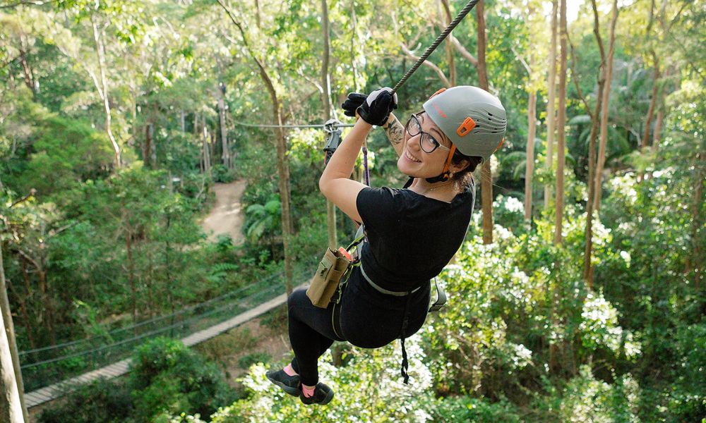 Gold Coast Hinterland Treetop Challenge