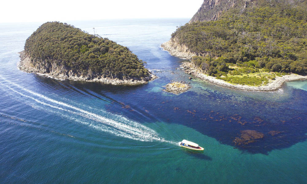 Bruny Island Wilderness Cruise and Bus Transfer from Hobart Dock Head Building Franklin Wharf Hobart TAS 7000