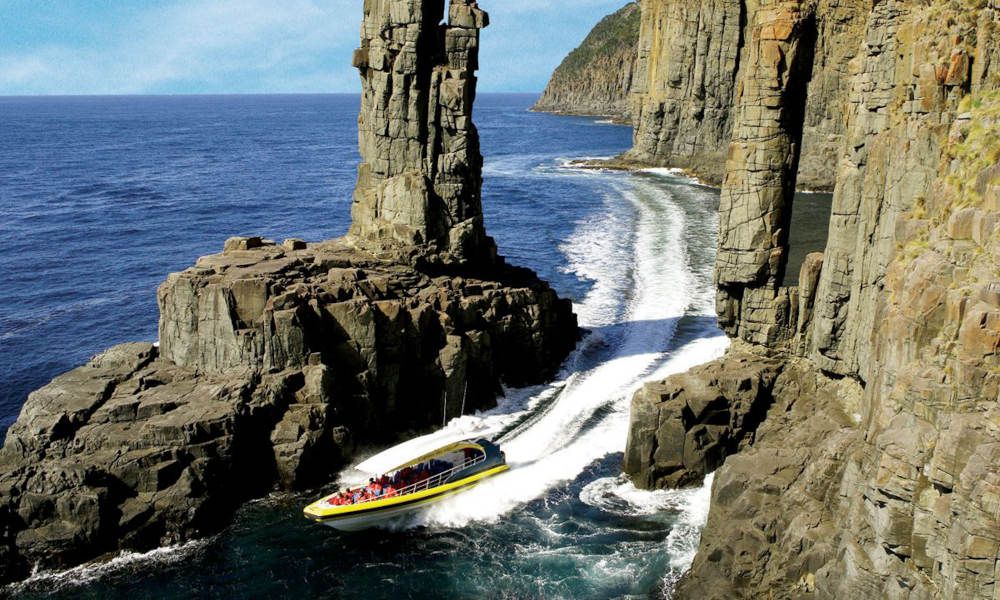 Bruny Island Wilderness Cruise and Bus Transfer from Hobart