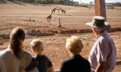 Monarto Safari Park Entry Tickets