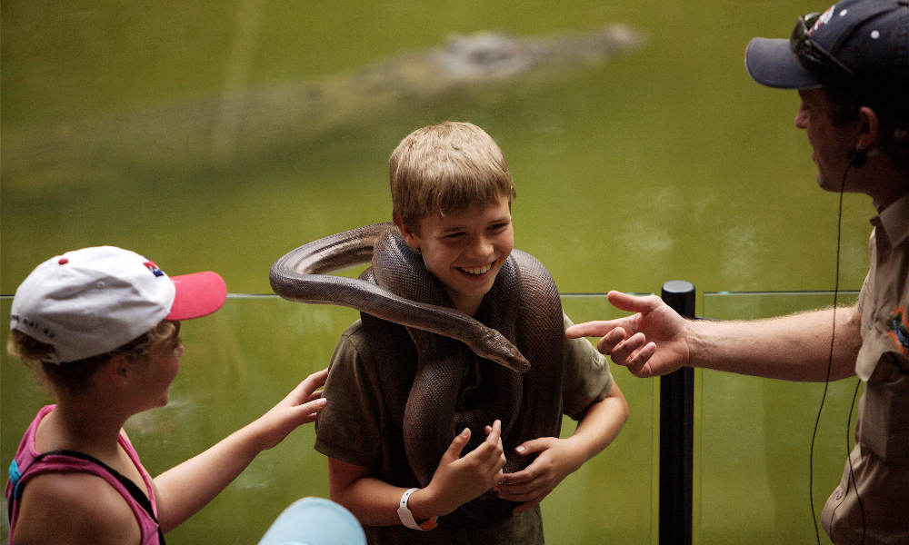 Kuranda Skyrail, Scenic Railway and Hartleys Crocodile Adventures Tour