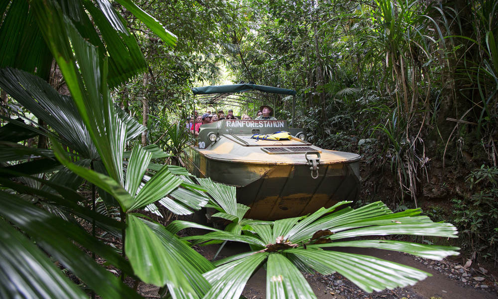 Kuranda Skyrail, Scenic Railway and Rainforestation Day Tour