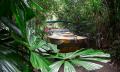 Kuranda Skyrail, Scenic Railway and Rainforestation Day Tour Thumbnail 5