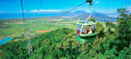 Kuranda Skyrail, Scenic Railway and Rainforestation Day Tour Thumbnail 4
