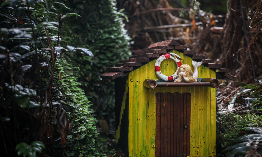 Otway Fly Treetop Walk