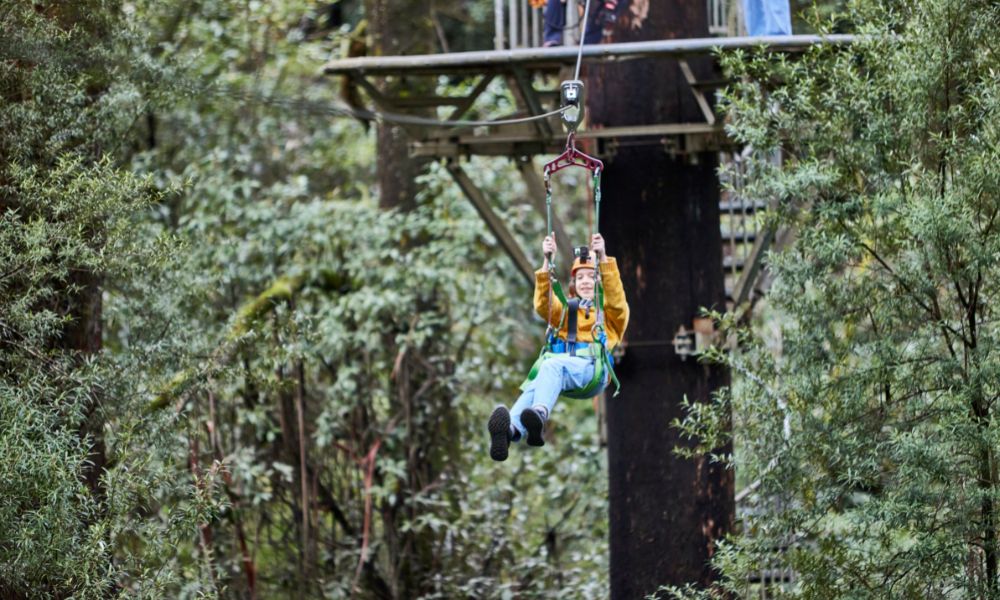 Otway Fly Zipline Tour