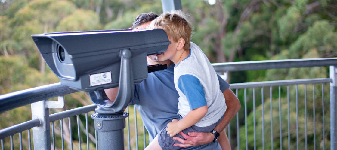 Illawarra Fly Treetop Walk Entry