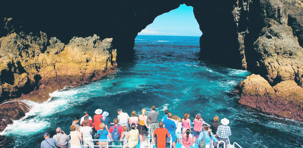 Bay of Islands Hole in the Rock Cruise and Day Tour from Auckland The Millennium Centre Level 2 Building C/602 Great South Road Greenlane AUK 1051