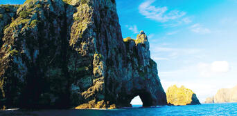 Bay of Islands Hole in the Rock Cruise and Day Tour from Auckland Thumbnail 4