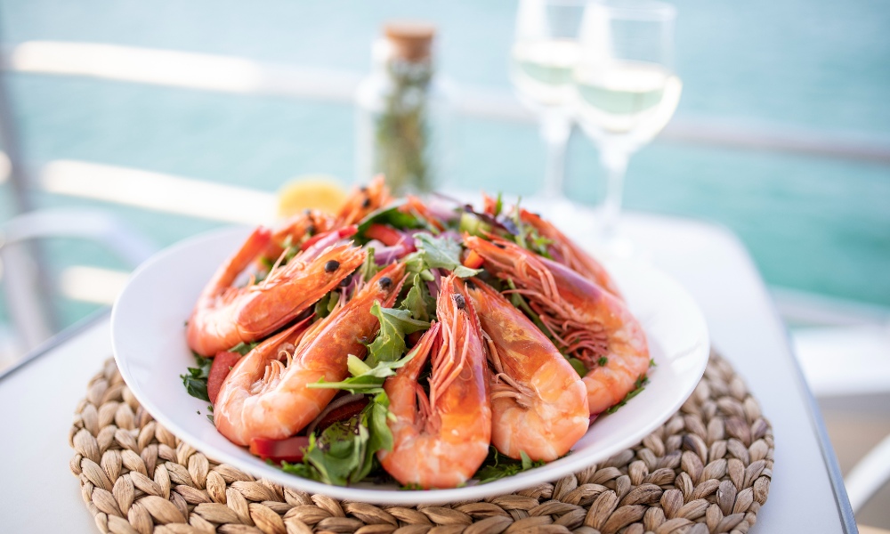 Moreton Island Dolphin and Tangalooma Wrecks Snorkelling Tour including Lunch