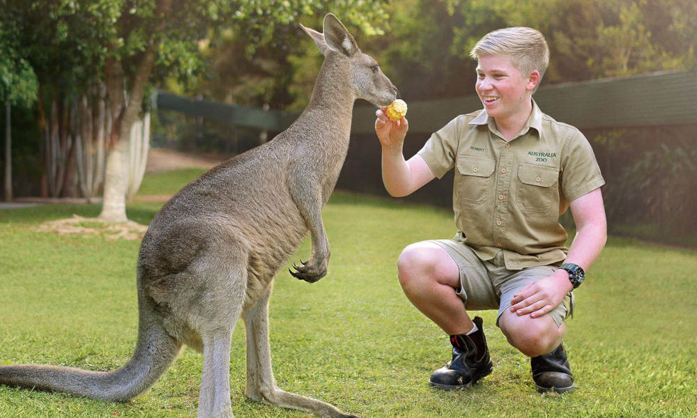 australia zoo animal tour