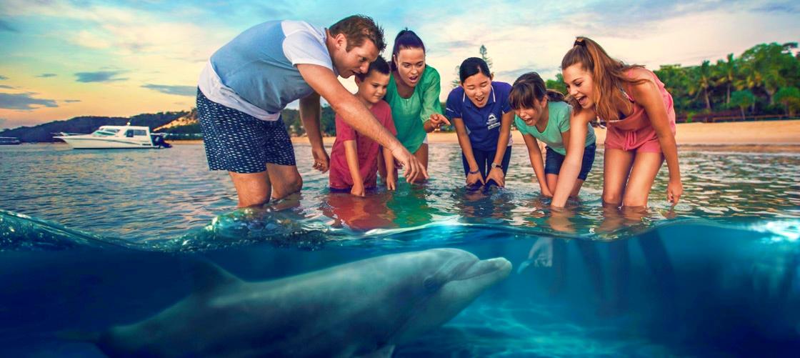 Tangalooma Island Resort Day Tour including Desert Safari and Dolphin Feeding