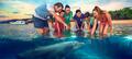 Tangalooma Island Resort Day Tour including Desert Safari and Dolphin Feeding Thumbnail 1